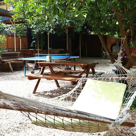 Olympos Doga Pansiyon Ngoại thất bức ảnh