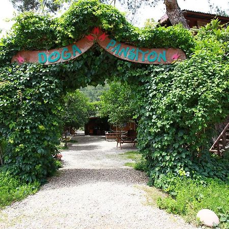 Olympos Doga Pansiyon Ngoại thất bức ảnh