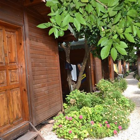 Olympos Doga Pansiyon Ngoại thất bức ảnh